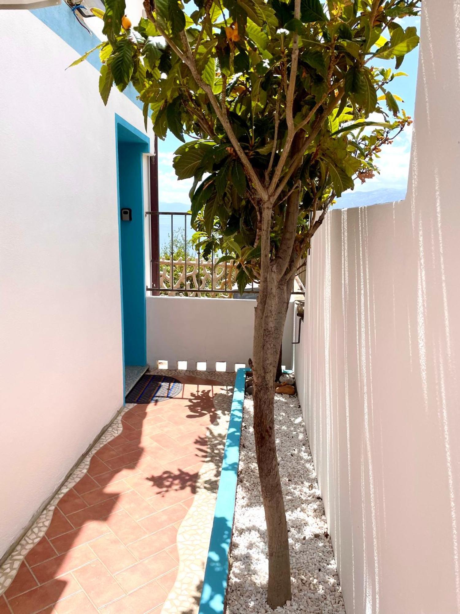 Apartment Blue Iun T1261